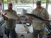 (06/25/2015) - Nice Striped Bass
